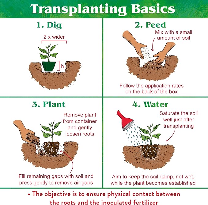 Down To Earth All Natural Fertilizers Organic Bio-Live Starter & Transplant Mix with Mycorrhizal Fungi and Benefical Microbes for Plant Food 5-4-2, 25 lb