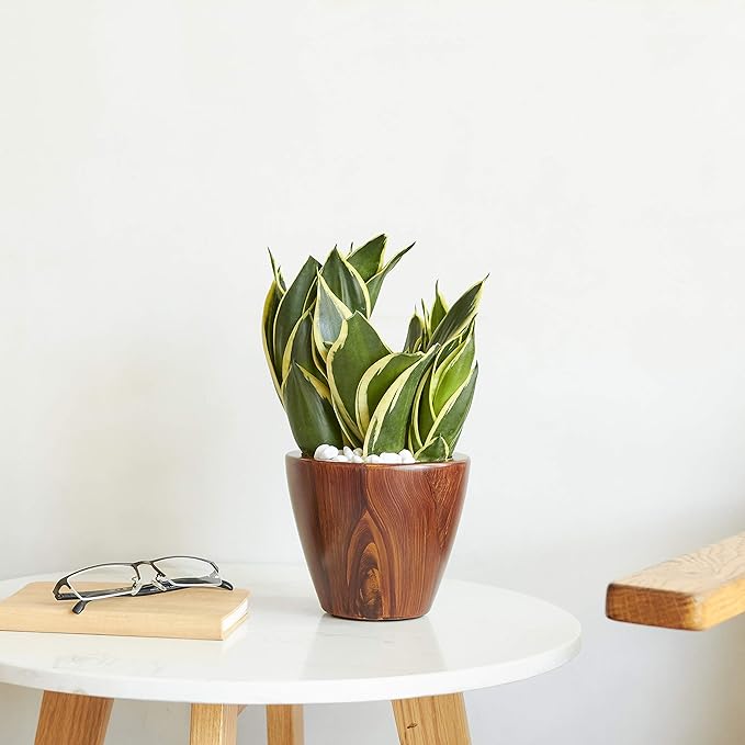 Set of 2, Smart Self-Watering Planters for Indoor and Outdoor - Round, Imitation Wood