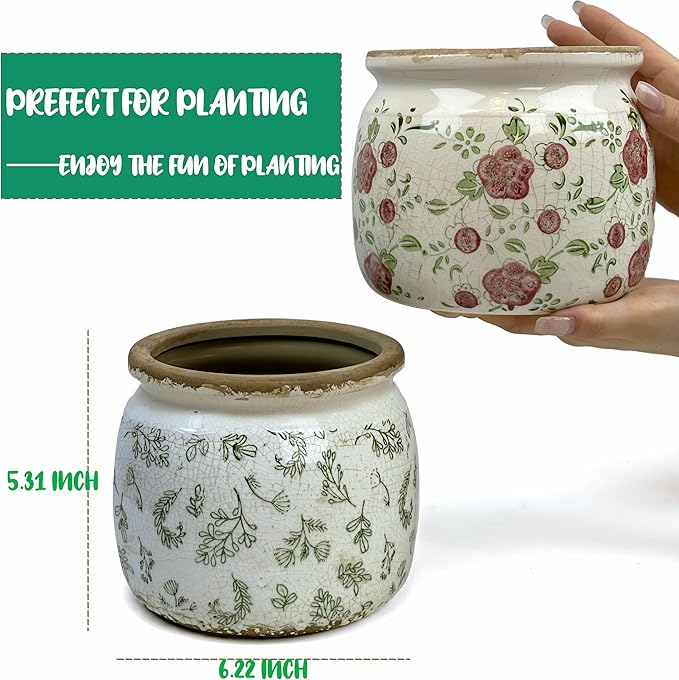 Dosayes Vintage Ceramic Ice Crack Flower Pot with Drainage Holes, Country Rustic Planters for Indoor and Outdoor,Tuscan Decor,Home,Living Room, Garden Decor, Gardening Gift (Retro)
