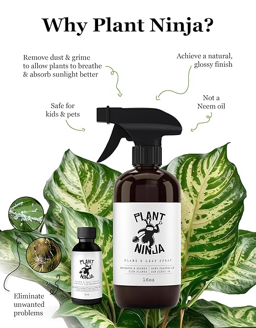 Plant & Leaf Spray – Non-Toxic Leaf Shine & Protector | Eco-Friendly, Safe for Indoor Plants | Handcrafted, Women-Owned, 3rd Generation Recipe | Plant-Based Formula with Gentle Silicone