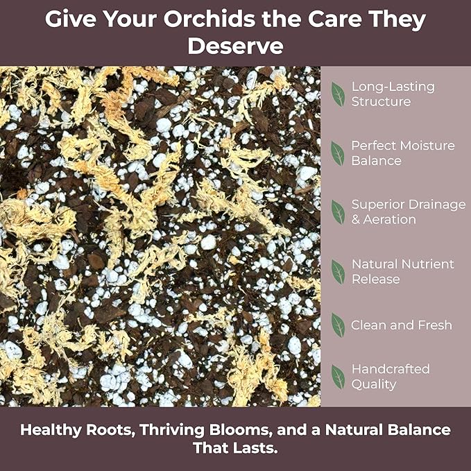 GARDENWISE Orchid Potting Mix – Orchid Bark, Sphagnum Moss, Tree Fern & Perlite for Repotting Phalaenopsis Orchids, Indoor Plants, Orchid Soil Medium – Sustrato para Orquídeas (3 Quart)