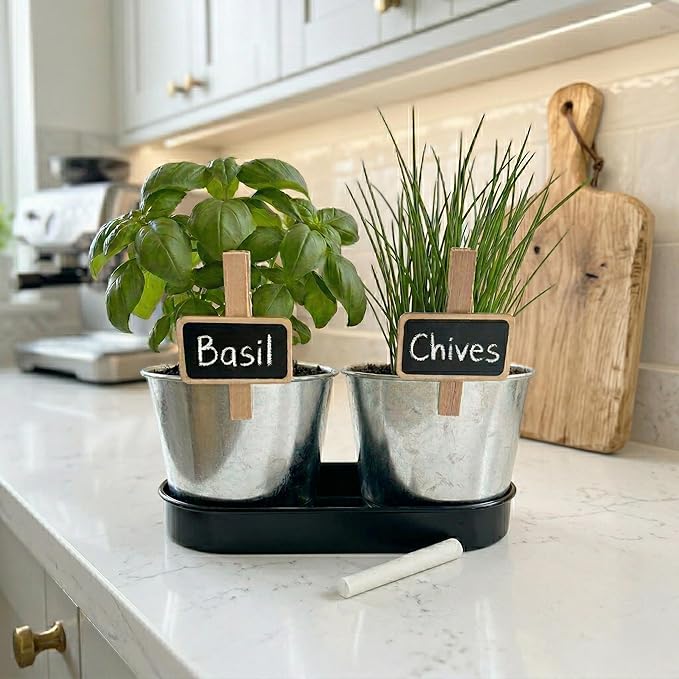 BUZZY Seeds Kitchen Herb Garden Kit with 2-Pot Metal Planters with Plant Markers, Organic Basil and Chive Seeds, Coconut Husk Growing Medium, Indoor Countertop Gardening Gift