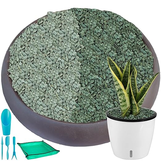 11 lbs Succulent and Cactus Bonsai Pebbles, 4-6mm Decorative Landscaping Stones Natural Garden Gravel Rocks for Indoor Outdoor Plants Aquariums DIY, and Gardening Top Dressing, Green Zeolite