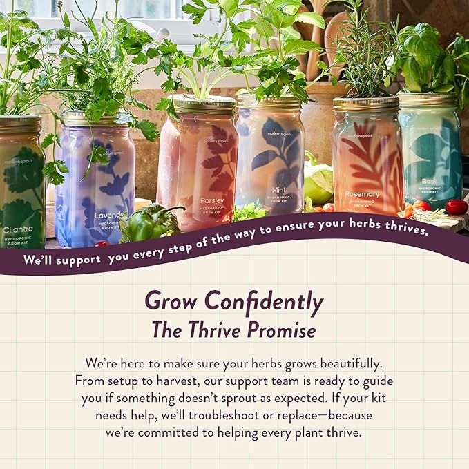 Modern Sprout Mason Garden Jar - Self-Watering Hydroponics Growing System Kit with Organic Herb Seeds - Jar Planter for Indoor Herb Garden - Seed Starter Kit - Home Decor & Gifting - Rosemary