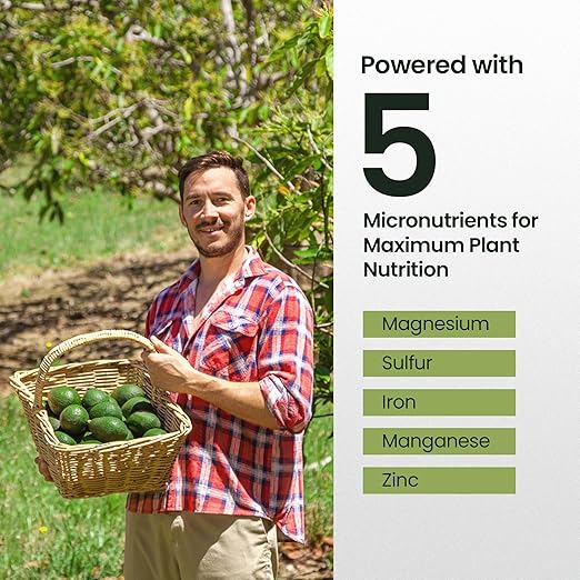 32oz Fruit Tree Fertilizer for Avocados - Makes 64 Gallons, Premium Water-Soluble Plant Food, Rich With Micronutrients for Consistent Lush Growth & Abundant Harvest