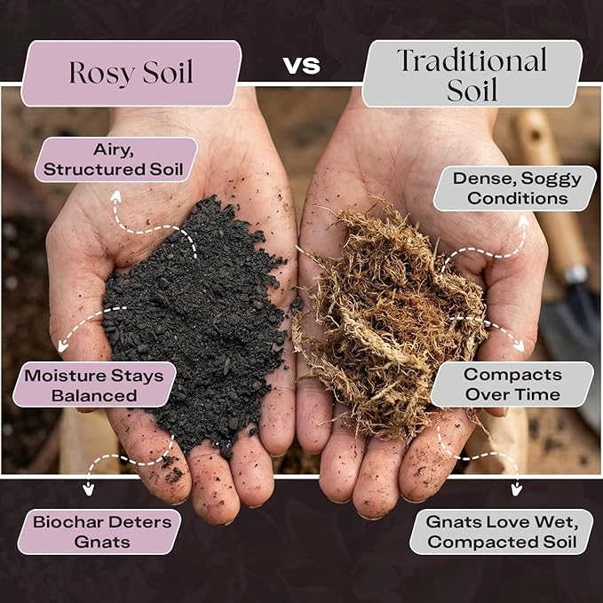 Rosy Soil Seedling Seed Starter Soil - Peat-Free Organic Potting Mix for Seeds, Cuttings, Microgreens- w/Worm Castings, Root-Boosting Biochar, Less Prone to Gnats, for Germination, Propagation - 4qt
