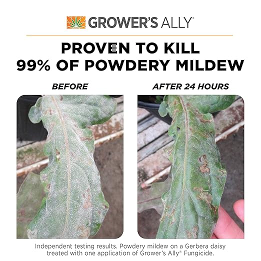 Grower's Ally Fungicide Spray for Plants - Ready-to-Use Indoor Outdoor Plant Fungicide Treatment for Powdery Mildew, Alternaria Blight, Rot, Fungus - OMRI Listed, Trusted by Cultivators - 24 Oz