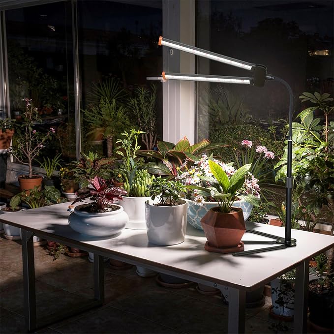 Grow Light for Indoor Plant, 6000K Full Spectrum Plant Lamp with Red Blue White LED for Pot Succulents Seed Growing, Light Strip Foldable & Height Extendable 9-25'', Auto Timer 4 8 12Hrs