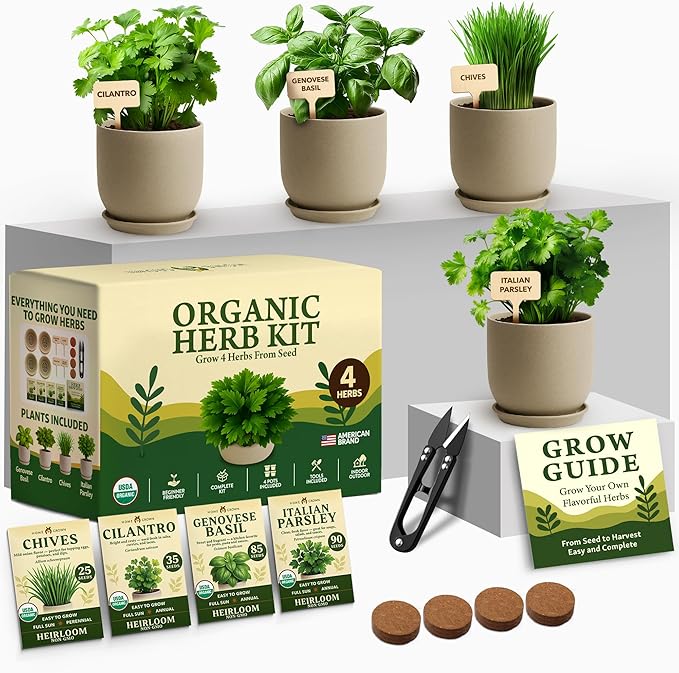 HOME GROWN Indoor Organic Herb Garden Kit – Unique Christmas Gift for Adults, Men, & Women - Grow 4 Herb Seeds & Herb Garden Planter Indoor Kit – Unique Christmas Gift for Adults, Men, & Women