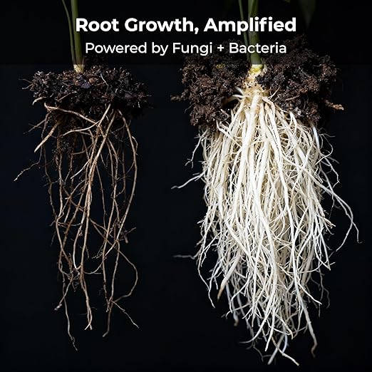 Real Growers Recharge – 8oz | Mycorrhizae Soil Microbe Inoculant for Living Soil & Coco Coir | Improves Nutrient Uptake & Root Growth