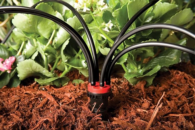 Rain Bird MANIF21PK Drip Irrigation 6-Port Manifold, 2 Gallon Per Hour Flow Rate Per Port