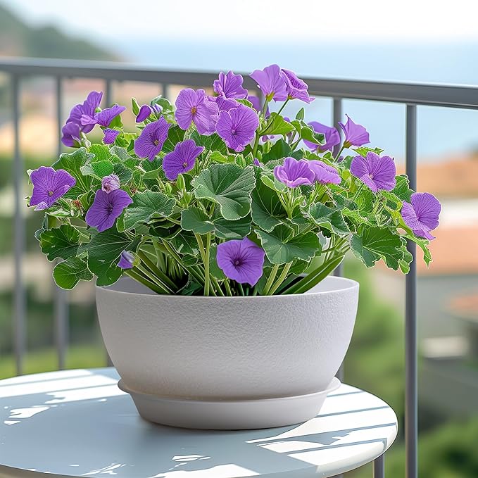 T4U 8 Inch Plant Pots 2 Pcs, Flower Pots for Plants, Plastic Planter Pots for Indoor Plants with Drainage Holes and Saucer (2 Pcs, 8", White)