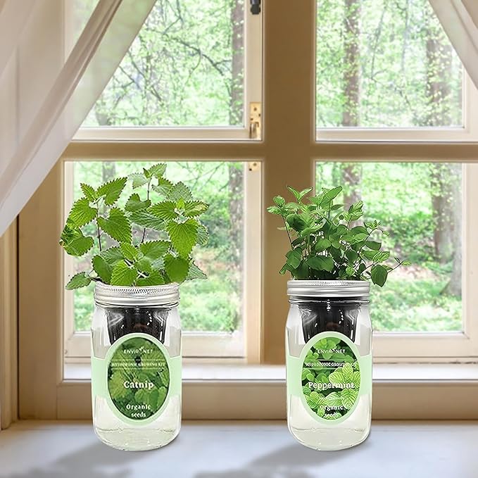 2-Pack Hydroponic Mason Jar Herb Garden Kit, Indoor Herb Garden Self-Watering Starter Kit, New Christmas Gift for Mom (Catnip,Peppermint)