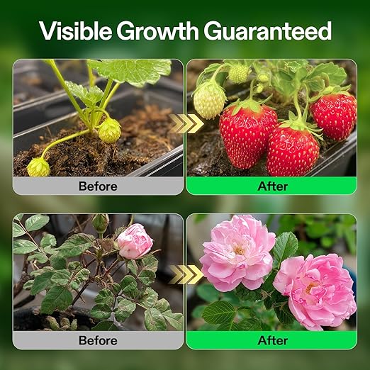 VIVOSUN Liquid Nutrients Base A & B Bundle, Grow Big Hydroponic Fertilizer, Supports Vegetative and Flowering Stages for Outdoor, Indoor Plants, Best Plant Food, Set of 1 Gallon (Pack of 2)