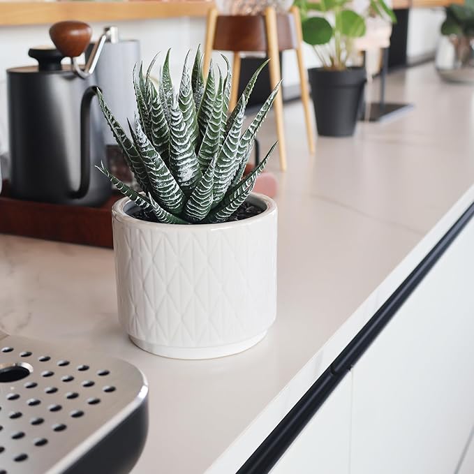 Jahe Aloe Plant Artificial Plants Indoor, 6.7'' High Faux Plants Indoor, Realistic Looking Artificial Succulent in Ceramic Pot, As a Gift for Women, Suitable for Room, Bathroom, Living Room, 1 Pack