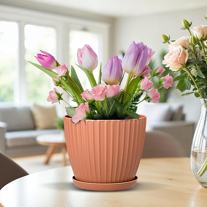 Terracotta 6-Inch Plant Pots with Drainage & Saucers 3 Pack, Indoor & Outdoor Planters for Houseplants, Herbs, and Flowers, Durable & Weatherproof Material, Stackable, Lightweight, Minimalist Design