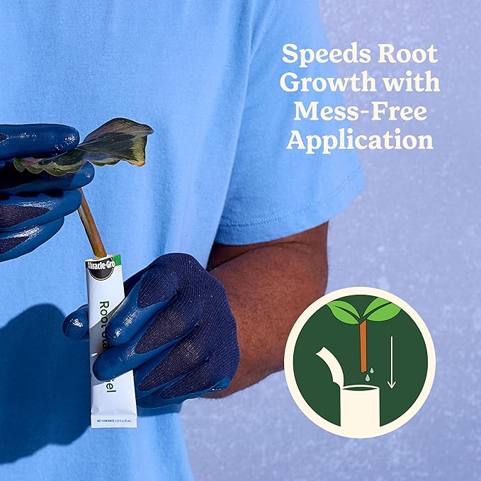 Miracle-Gro Plant Care Root Starter Gel, Rooting Hormone for Propagating Houseplants, 4 Packets