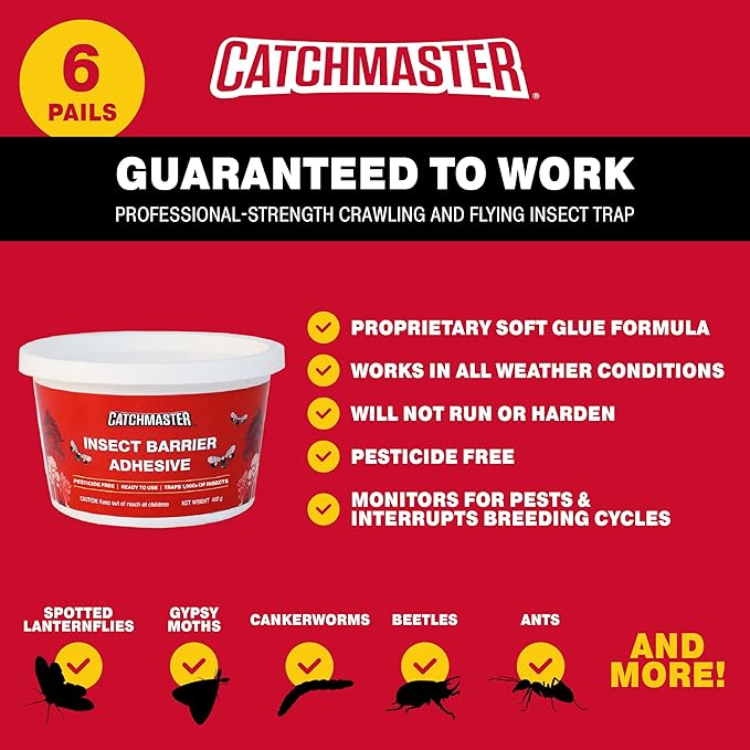 Catchmaster Tree Banding Insect Barrier 6Pk, 15oz Pails, Lanternfly & Ant Traps, Outdoor Adhesive Crawling Insect Trap to Protect Trees, Fruit & Plants