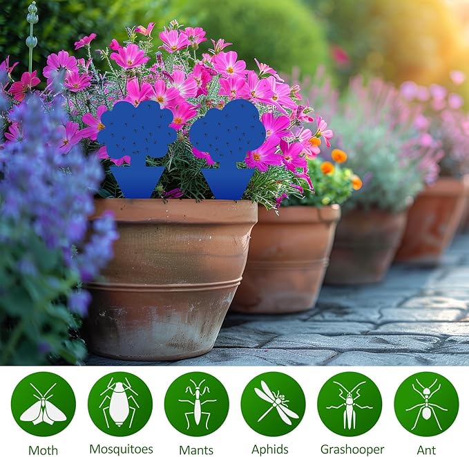200 Pack Fruit Fly Sticky Traps for Indoor and Outdoor, Blue Gnat Killers Sticky Traps for Mosquitos, Flying Insect for Protecting Plant