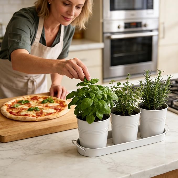 Metal Herb Garden Planter Set with Tray, 3-Pack White Zinc-Coated Windowsill Plant Pots with Drainage Holes & Handles for Indoor Outdoor Kitchen Garden