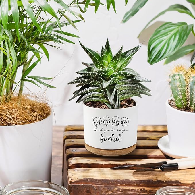 Golden Girls Merchandise,Thank You for Being A Friend,Succulent Flower Cactus Plant Pot with Drainage,Friendship Gifts for Friends Bestie Sister,Friend Gifts for Women(Plant Not Included)