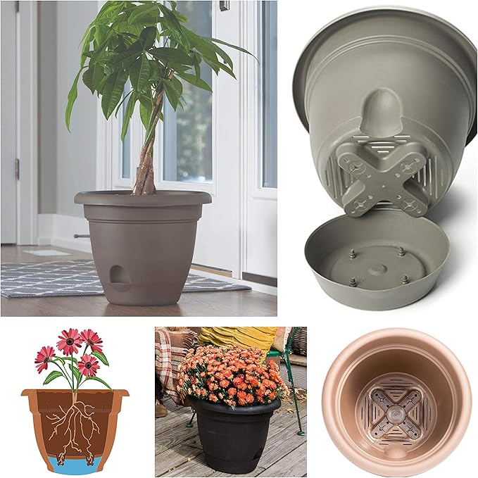 Bloem 010034 LP0842 Lucca Planter, Living Green, 8-Inch, 8"
