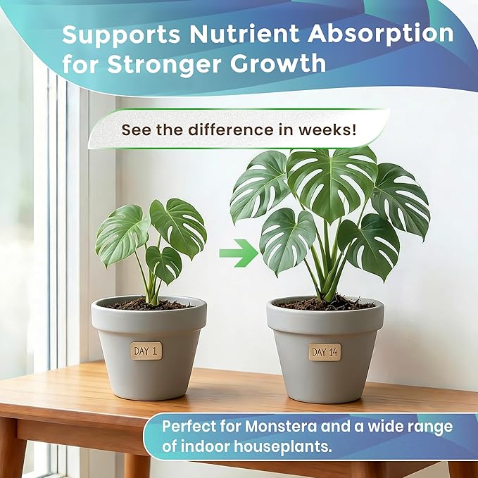 Monstera Plant Soil Premium All Purpose Blend | Large 2.2 Quarts | Ready to Use for Indoor Container and Houseplants | Peat, Coco Coir, Perlite, Dolomite | Made in USA