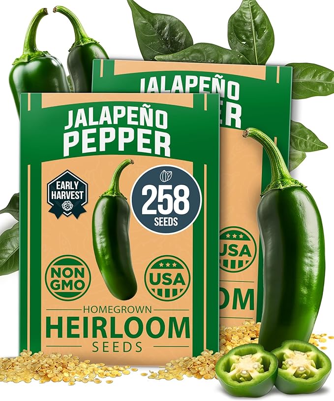 HOME GROWN Jalapeno Pepper Seeds 258+ Heirloom Non-GMO Seeds for Planting, High Germination, Mild to Medium Heat Hot Peppers, Heavy Producer, Perfect for Salsa & Pickling (Capsicum annuum)