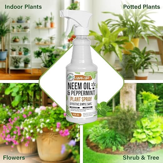Mighty Mint Neem Oil & Peppermint Plant Nutrient Spray – Natural Leaf Shine for Indoor & Outdoor Use – Plant-Based Formula for Stronger, Healthy Plants - 16 oz (Pack of 2)