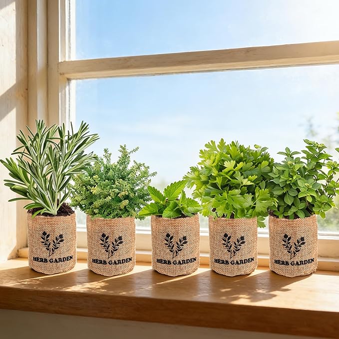 Indoor Herb Garden Starter Kit, 5 Seeds Growing into Basil, Parsley, Rosemary, Thyme, Mint, Including A Planter Box, Soil Discs & Planters with A Gift Box for Women