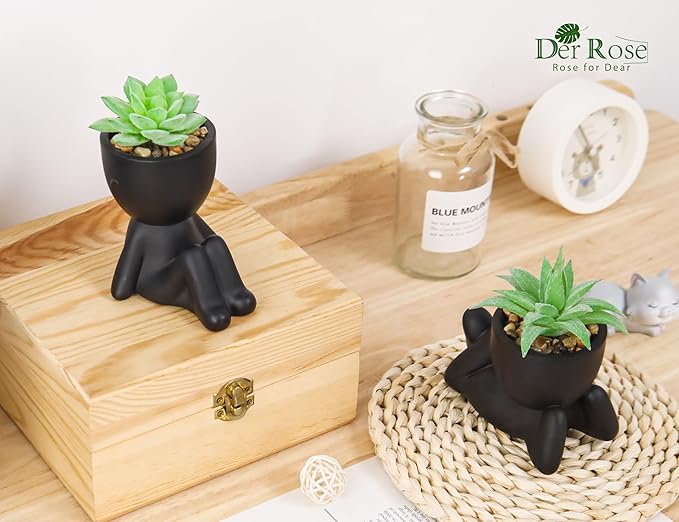 Der Rose 2 Pack Fake Plants Succulent Plants Artificial for Home Bathroom Living Room Office Decor