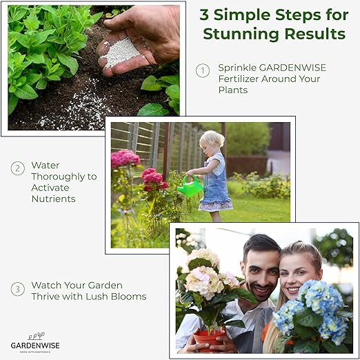 GARDENWISE Slow Release Hydrangea Fertilizer with Iron & Sulfur – Indoor & Outdoor Soil Acidifier for Miracle Growth (3 qt)