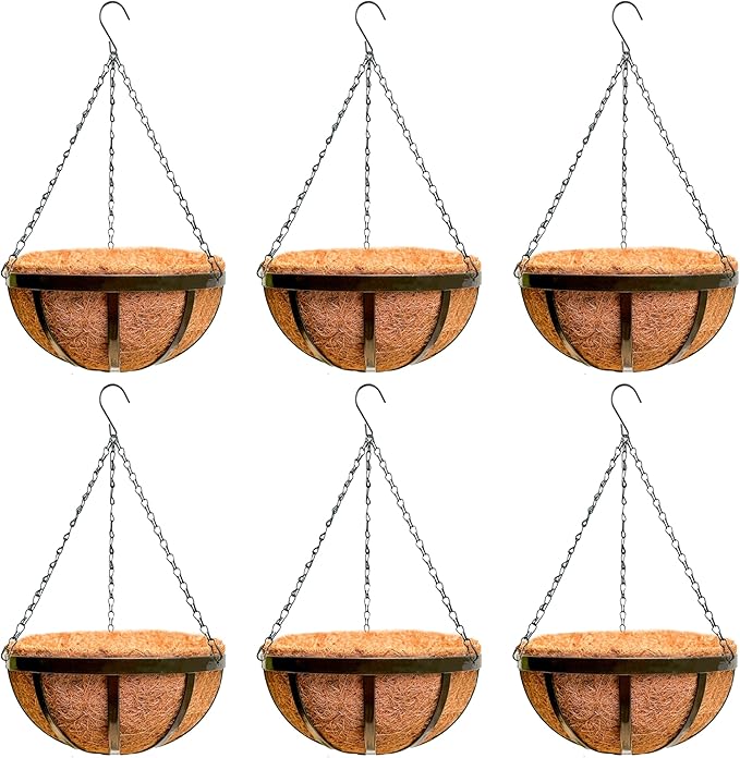 LaLaGreen Outdoor Hanging Baskets for Plants (12 Inch, 6 Pack) Medium Hanging Planter with Coco Liner, Flat Iron Metal Round Plant Flower Pots for Deck Patio Porch Garden Balcony Outside Decoration