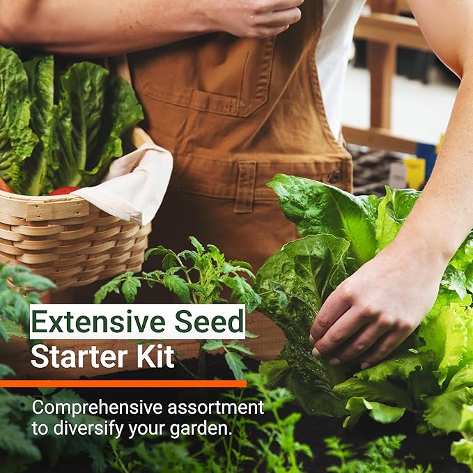 Open Seed Vault | 4,000 Heirloom Seeds | 12 Variety Pack of Herb Seeds | 2026 Season | Non GMO Vegetable and Fruit Seeds | Planting Outdoor & Indoor Garden | Gardening Starter Kit High Yield Produce