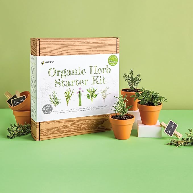 Buzzy Organic Herb Starter Kit – 9 Terracotta Pots, Organic Seeds & Soil Pellets – Indoor Herb Garden Kit with Plant Markers, Chalk & Instructions – Grow Fresh Basil, Parsley, Cilantro & More