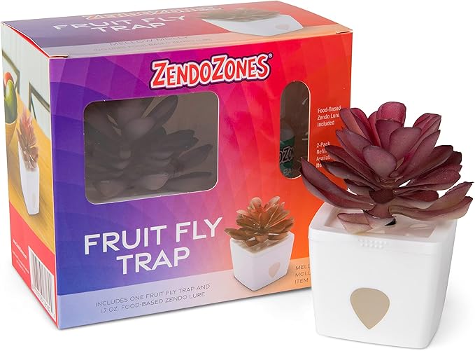 ZendoZones Succulent Fruit Fly Trap – Mellow Molly Design with White Base – Eco-Friendly Indoor Fruit Fly Control – Easy-to-Use Decorative Trap