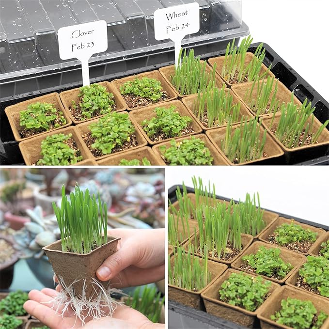 Seed Starter Kit with Peat Pots for Seedlings Seed Starter Tray, Including 100 Square Biodegradable Seed Starter Pods, 5 Plastic Growing Trays with Adjustable Dome& Spray Bottle