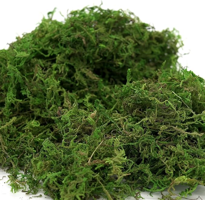 USMOLA Artificial Moss 16oz – Fake Moss for Crafts, Fairy Gardens, Wedding & Party Decor, Centerpieces & Potted Plants (Fresh Green, 455g)