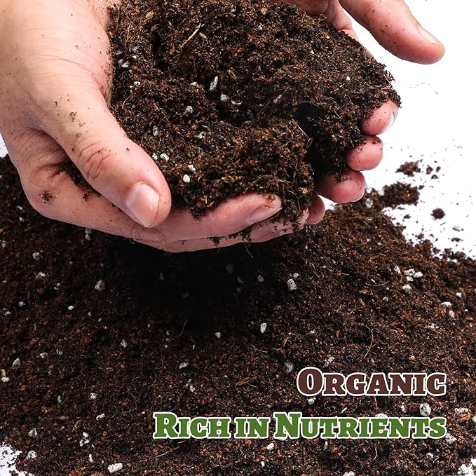 Doter Organic Strawberry Soil Mix 2qt, Indoor Plants Potting Mix for All Potted Strawberry, Grow Healthy houseplants Indoors