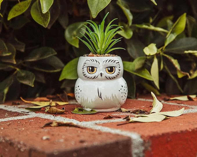 Harry Potter Hedwig 3-Inch Ceramic Mini Planter with Artificial Succulent | Small Flower Pot, Faux Indoor Plants for Desk Shelf, Home Decor Trinket Tray | Wizarding World Gifts and Collectibles