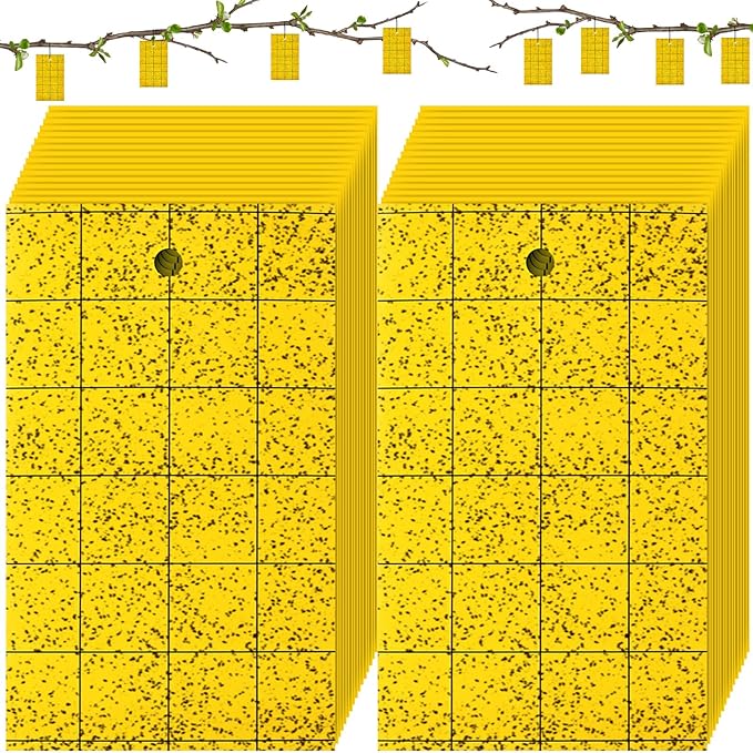 Qualirey 200 Pcs Sticky Trap for Gnats Dual Side Sticky Fruit Fly Trap with Tie Plant for Flying Insect Fungus Bugs Flying Catcher for Indoor (6'' X 8'')
