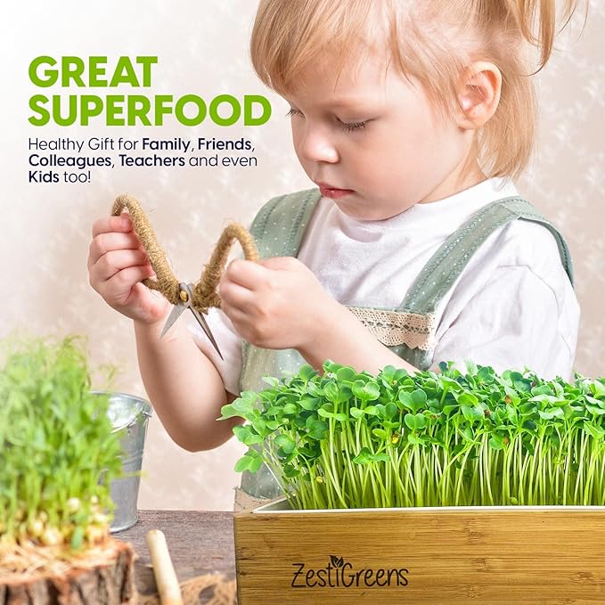 ZESTIGREENS Organic Self-Watering Microgreens Growing Kit – Reusable Indoor Grow Tray with Organic Seeds, Grow Mats & Bamboo Frame – Easy No-Soil Microgreens Starter Kit (Broccoli & Salad Mix)