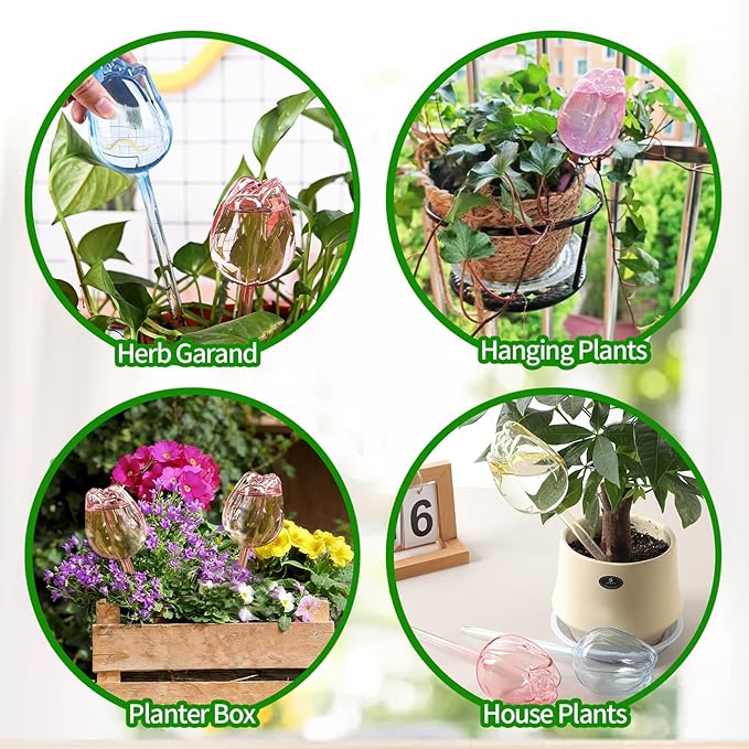 TJE Self Watering Glass Globes for Plants - Automatic Plant Waterer Bulbs with Rainbow Colors, Indoor/Outdoor Drip Irrigation Device for Vacation (Champagne, Pink, Purple, Clear)