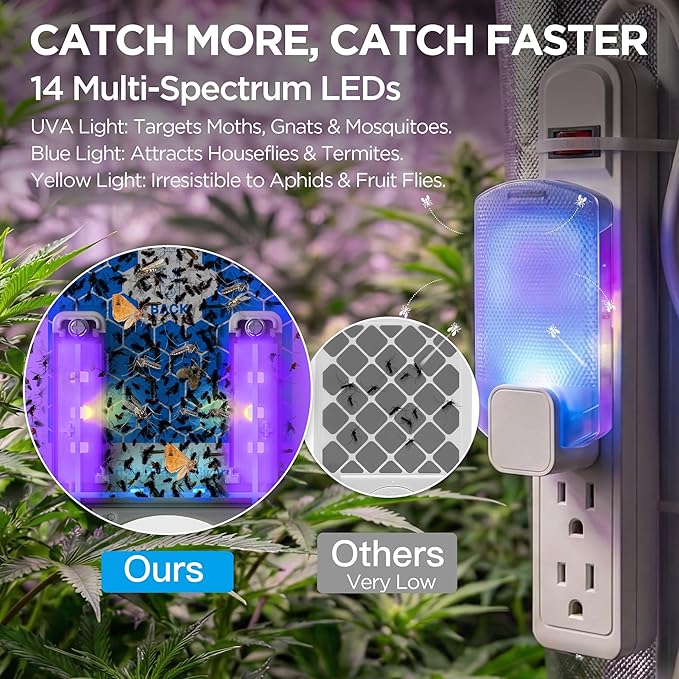 Fruit Fly Traps for Indoors(1 Device+5 Refills) for Fruit Flies, Gnats, Flying Insects, Moths, Bugs, Fungus, 3-in-1 UV/Blue/Yellow Light Plug-in Gnat Traps, No-Mess Bug Zapper, 7 * 24hrs Pest Control