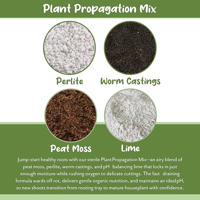 Soil Sunrise Plant Propagation Potting Mix (4 Quarts) Ideal Starter Mix for Rooting Plant Cuttings