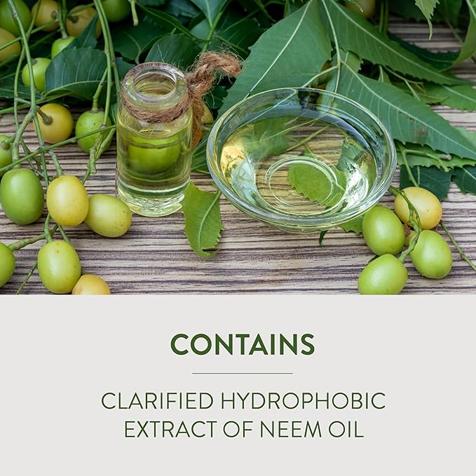 Garden Safe Neem Oil, 10 Fl Oz, Case Pack of 6