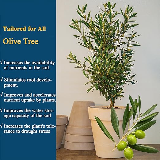 10oz Olive Tree Fertilizer & Nutrient Solution - Organic Microbial Probiotic Plant Food for Green Foliage, Root Growth & Fruit Production
