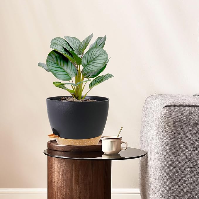 WSMKSZ 10 inch Self Watering Pots, 2 Pack Plastic Planters with Mesh Drainage Holes for Garden Plants and Flower, Plants Pots with Deep Reservoir for Indoor Outdoor Plants, Black with Brown