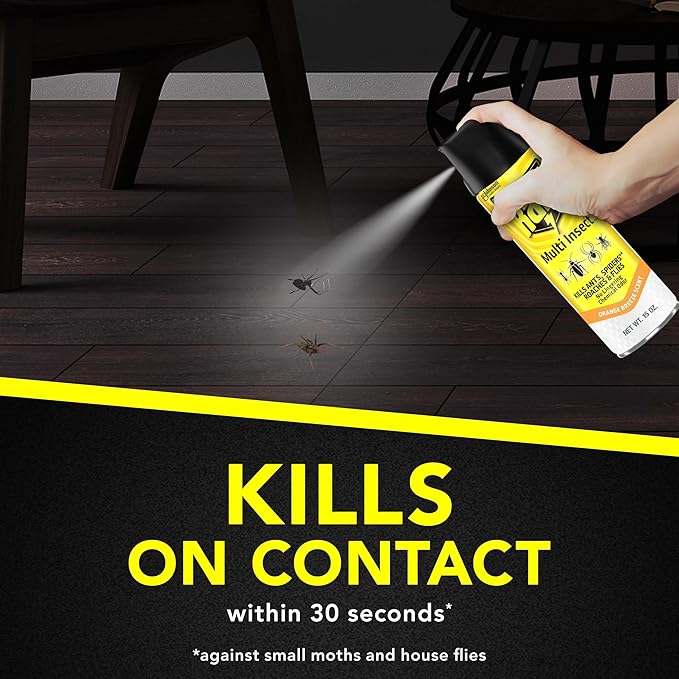 Raid Multi Insect Killer, Orange Breeze 15 Ounce (Pack of 1)