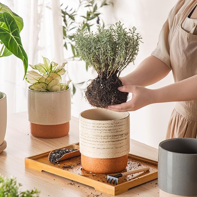 Self Watering Plant Pot: 6 Inch Ceramic Planter with Drainage Hole & Water Storage Plus - Flower Pot for Indoor & Outdoor Plants (Brush, Small)